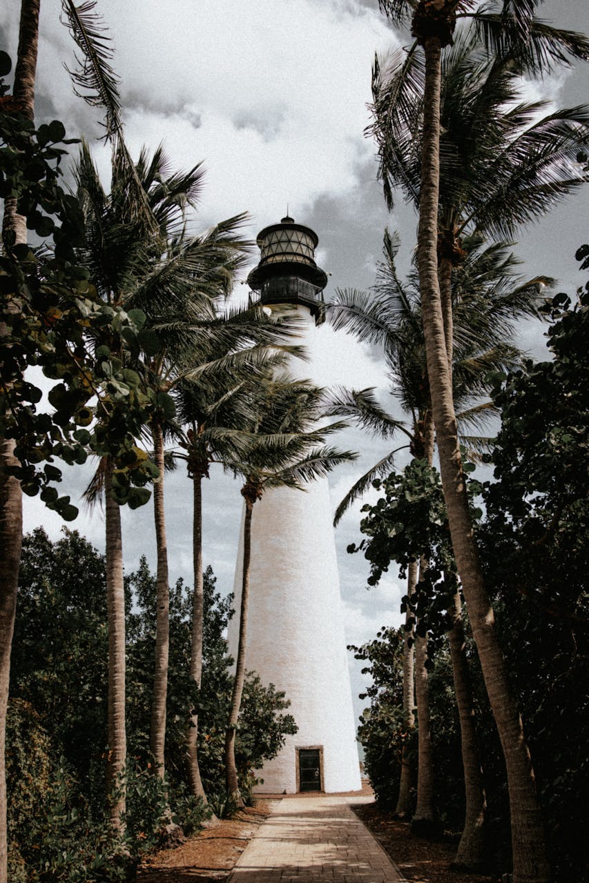Florida homes with palm trees